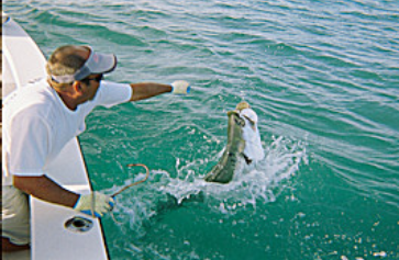 Reel Action Charters